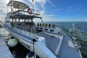 1995 Newton 42' Dive Special