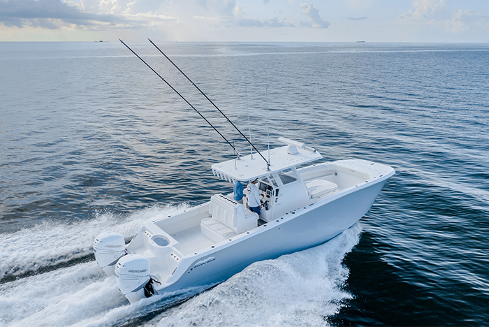 Invincible Catamaran 33