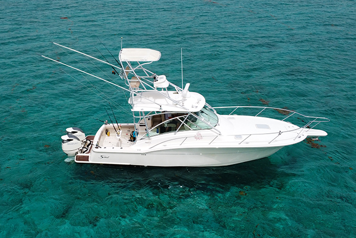 Scout Abaco 35 - Reduced