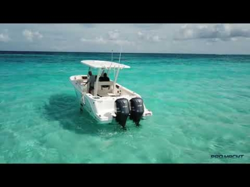 2019 Robalo R272
