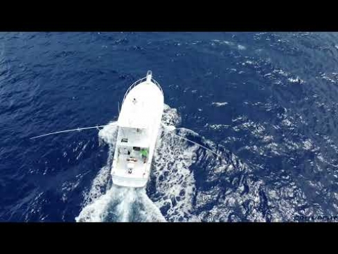 Post 46 Pro Yacht