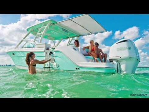 Robalo R317